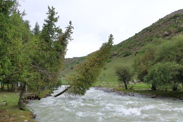 landscape near Jeti Oguz gorge with yurts and green meadows on a cloudy day