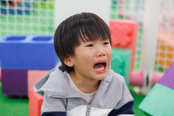 イヤイヤ期で泣いている子供