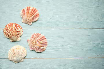 Seashells on blue wooden background, copy space for the text. Summer vacation concept