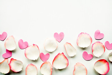 White rose petals on white background. Valentine's Day concept
