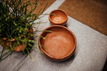 Obraz na płótnie Canvas plants planted in handmade clay pots
