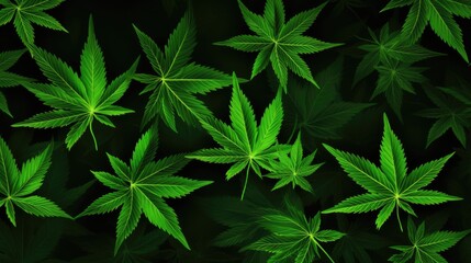 Background with Lime Green marijuana leaves