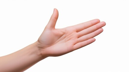 Elegant female palm or wrist isolated on white. Variation of closed woman palm and an open palm with fingers to sides