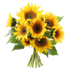 bouquet of several sunflowers, isolated on transparent background