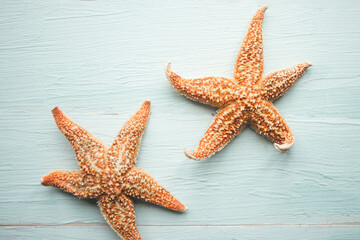 Starfishes on blue wooden background. Summer vacation concept