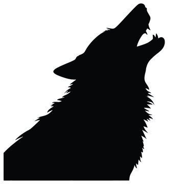 wolf  silhouette