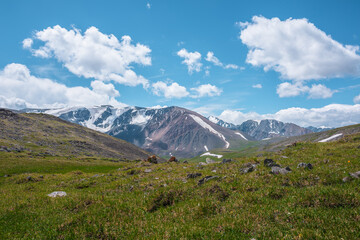 Scenic alpine view from grassy green hill to large snow mountain range in sunlight. Colorful landscape with rock hills and high snowy mountains in changeable weather. Shadows of clouds under blue sky.
