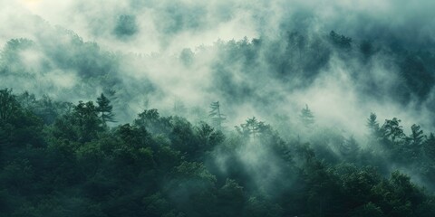 Fototapeta premium Mysterious smoky misty atmosphere in the forest Texture background for ads and banners Generative AI