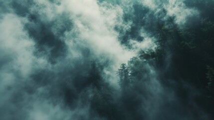 Naklejka na ściany i meble Mysterious smoky misty atmosphere in the forest Texture background for ads and banners Generative AI