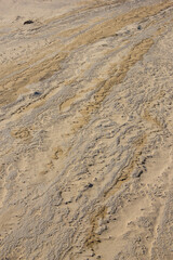 冬の鳥取砂丘とその紋様 鳥取県 鳥取砂丘