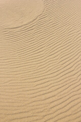 冬の鳥取砂丘とその紋様 鳥取県 鳥取砂丘