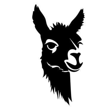 Llama silhouette