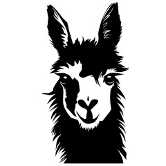 Llama silhouette