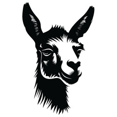 Llama silhouette