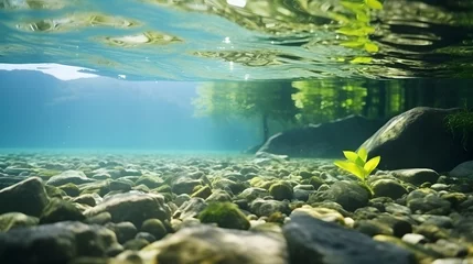 Fotobehang underwater of river natural landscape with stone pebble and water tree leaf flow in water beautiful nature background  © Ziyan