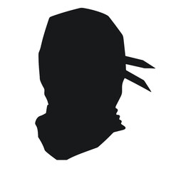 ninja silhouette © vectorcyan