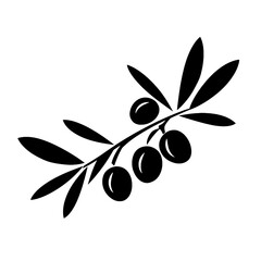 olive branch with olives
