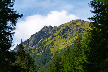 mountain view forest landscape Poland Zakopane