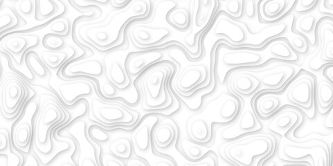 Abstract geometric layered curve line white background. 3d white papercut topography relief. Cover layout template. paper cut topography soft background banner texture. light liquid wave illustration.
