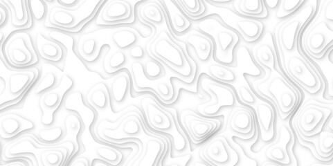 Abstract geometric layered curve line white background. 3d white papercut topography relief. Cover layout template. paper cut topography soft background banner texture. light liquid wave illustration.