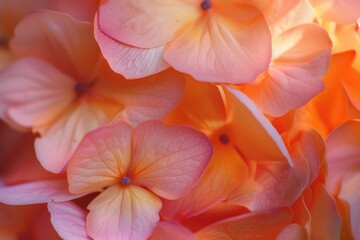 Fototapeta premium A close-up view of a bunch of pink flowers. Ideal for adding a touch of beauty to any project or design