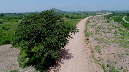 road in the field