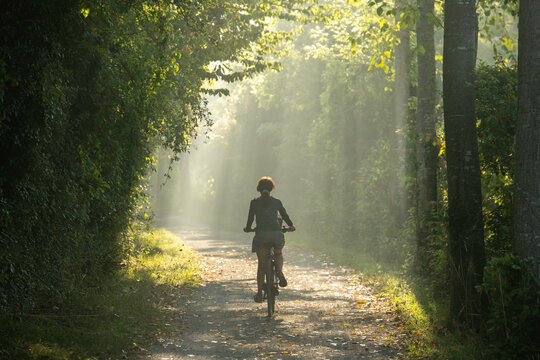 femme cycliste de dos sur un chemin en foret, vue horizontale, lumi&egrave;re d'&eacute;t&eacute;