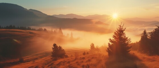 Obraz premium Mountain valley during sunrise. Natural summer landscape in Slovakia