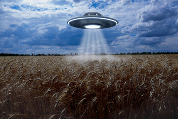 Alien spaceship emitting light in air over wheat field. UFO
