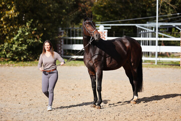 Foal horse brown in the sunshine on the riding arena, with mother mare and owner.