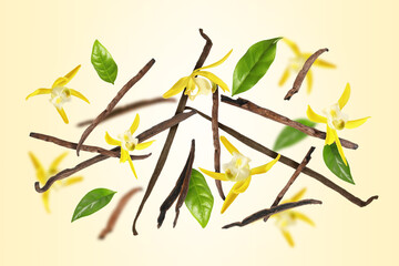 Vanilla pods, yellow flowers and green leaves falling on color background