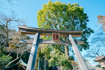 高麗神社のお参り