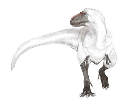 「羽毛のある暴君」ユティラヌス　ティラノサウルス上科の大型肉食恐竜であり、発見された骨格の化石を縁取って明確な羽毛の印象の存在が確認された大型獣脚類で唯一の種。約8メートル