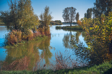 Spring evening landscape