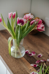 pink tulips with a white edging stand in a glass vase on a wooden table, next to them lie the petals of wilted tulips