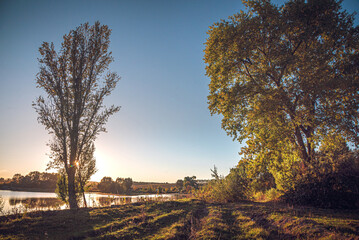 Obraz premium Summer evening landscape