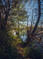 Autumn landscape on river