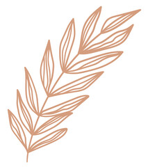 Floral element, abstract nature plant leaf vector illustration