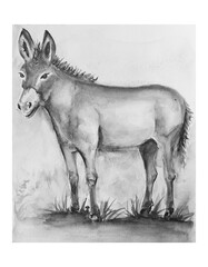 sketch of a donkey
