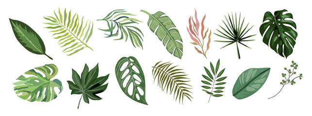 Tropical different type exotic leaves set. Jungle plants. Calathea, Monstera, banana, palm leaves. Cartoon realistic vector illustration isolated on transparent background. - obrazy, fototapety, plakaty