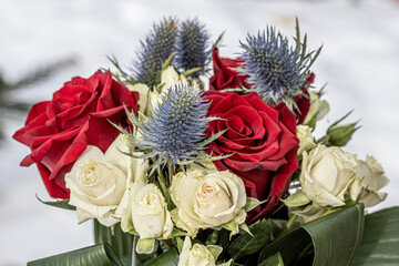 Birthday Bouquet witch red and white roses and purple eryngium planum.