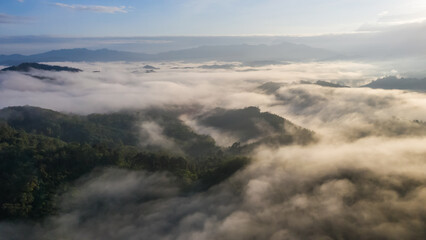 Fototapeta premium Aerial view of the Borneo rainforest.