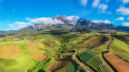 aerial view of Kundasang Sabah landscape with cabbage farm and Mount Kinabalu at far background...