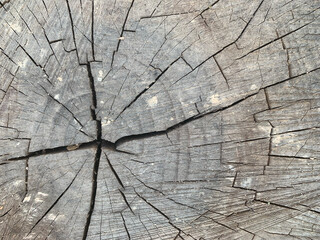 Natural Wood texture