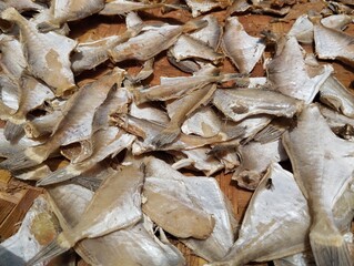 dried fish in the market