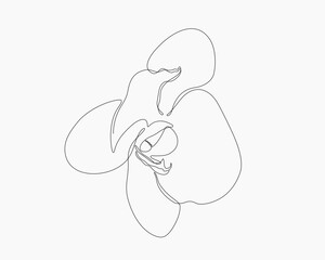 Continuous line drawing of an Orchid, black vector outline.