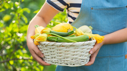 Woman holds a basket full of young zucchini with flowers. Selective focus.