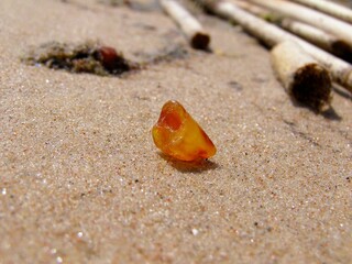 stone of amber
