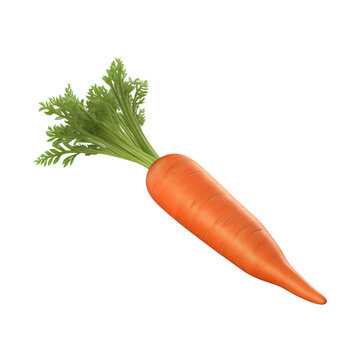 Carrot isolated on transparent background, png