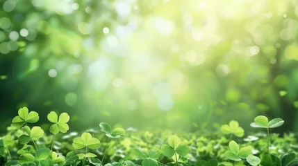 Poster Green clover leaf on summer landscape background  © thesweetsheep